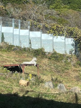 伊豆アニマルキングダムに投稿された画像（2025/11/30）