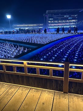 東京メガイルミに投稿された画像（2025/11/30）