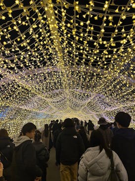 東京メガイルミに投稿された画像（2025/11/30）