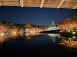 国営昭和記念公園 秋の夜散歩に投稿された画像（2025/11/30）