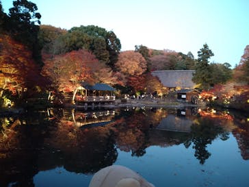 名古屋市東山動植物園に投稿された画像（2025/11/30）