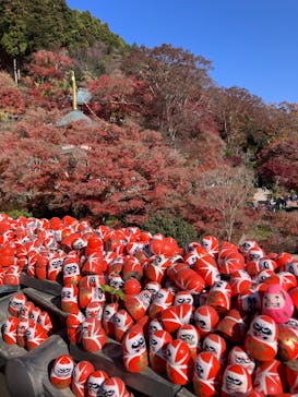 勝尾寺に投稿された画像（2025/11/30）