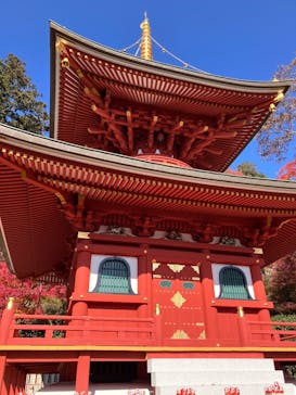 勝尾寺に投稿された画像（2025/11/30）