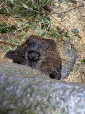 長崎バイオパークに投稿された画像（2025/11/30）