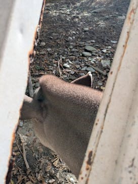 長崎バイオパークに投稿された画像（2025/11/30）