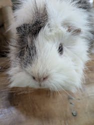 長崎バイオパークに投稿された画像（2025/11/30）