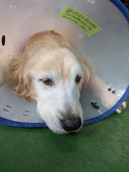 長崎バイオパークに投稿された画像（2025/11/30）