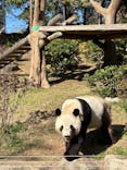 恩賜上野動物園に投稿された画像（2025/11/30）