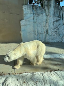 恩賜上野動物園に投稿された画像（2025/11/30）
