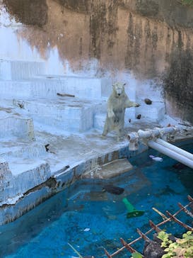 天王寺動物園に投稿された画像（2025/11/30）
