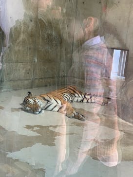 天王寺動物園に投稿された画像（2025/11/30）