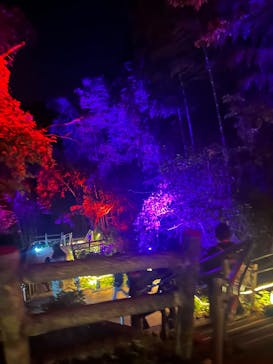 ニジゲンノモリに投稿された画像（2025/11/30）