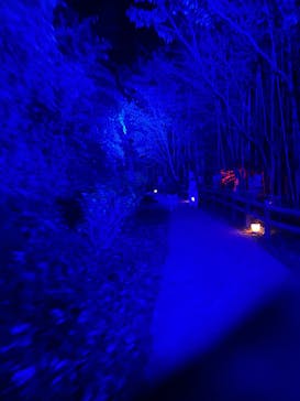 ニジゲンノモリに投稿された画像（2025/11/30）