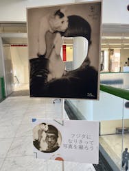 藤田嗣治　絵画と写真に投稿された画像（2025/11/30）