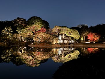 六義園に投稿された画像（2025/11/30）