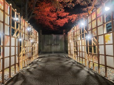 国営昭和記念公園 秋の夜散歩に投稿された画像（2025/11/30）