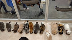 Moff animal cafe イオンモール成田店に投稿された画像（2025/11/30）