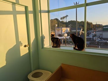 Moff animal cafe イオンモール成田店に投稿された画像（2025/11/30）