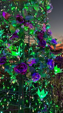 ひらかたパークに投稿された画像（2025/11/30）