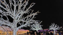 東京メガイルミに投稿された画像（2025/11/30）