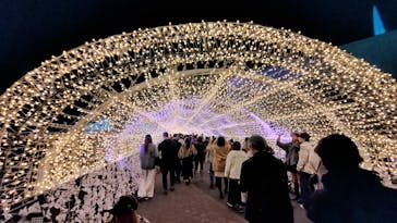 東京メガイルミに投稿された画像（2025/11/30）