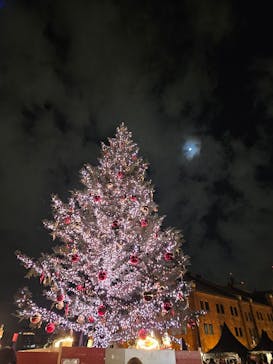 Christmas Market in 横浜赤レンガ倉庫 2025に投稿された画像（2025/11/30）