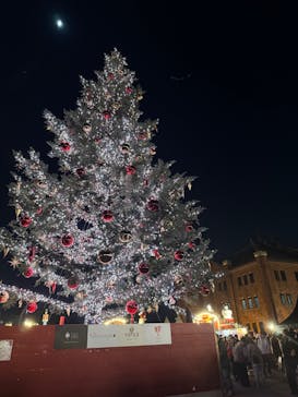 Christmas Market in 横浜赤レンガ倉庫 2025に投稿された画像（2025/11/30）