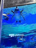すみだ水族館に投稿された画像（2025/11/30）