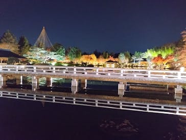 国営昭和記念公園 秋の夜散歩に投稿された画像（2025/11/30）