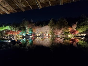 国営昭和記念公園 秋の夜散歩に投稿された画像（2025/11/30）