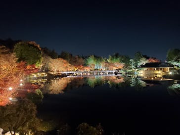 国営昭和記念公園 秋の夜散歩に投稿された画像（2025/11/30）