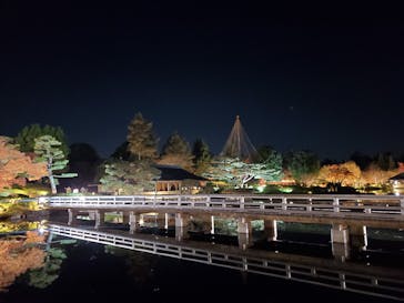 国営昭和記念公園 秋の夜散歩に投稿された画像（2025/11/30）