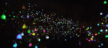 神戸六甲ミーツ・アート2025 beyondに投稿された画像（2025/11/30）