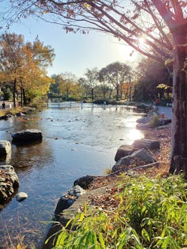 世界淡水魚園水族館　アクア・トトぎふに投稿された画像（2025/11/30）