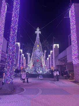 ひらかたパークに投稿された画像（2025/11/30）