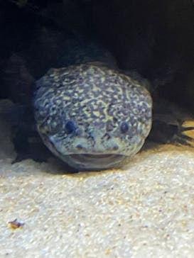 AOAO SAPPOROに投稿された画像（2025/11/30）