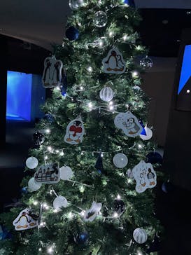 AOAO SAPPOROに投稿された画像（2025/11/30）