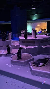 AOAO SAPPOROに投稿された画像（2025/11/30）