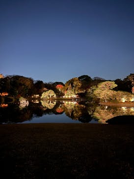 六義園に投稿された画像（2025/11/30）