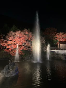 勝尾寺に投稿された画像（2025/11/30）