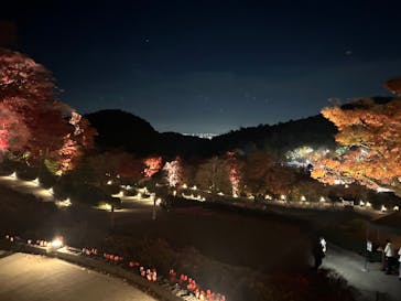 勝尾寺に投稿された画像（2025/11/30）