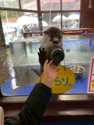 ゼロ距離水族館 伊勢シーパラダイスに投稿された画像（2025/11/30）