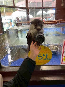 ゼロ距離水族館 伊勢シーパラダイスに投稿された画像（2025/11/30）
