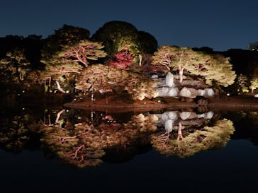 六義園に投稿された画像（2025/11/30）