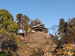 松江城に投稿された画像（2025/11/30）