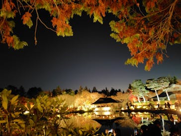 国営昭和記念公園 秋の夜散歩に投稿された画像（2025/11/30）