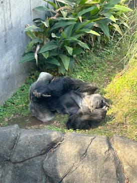 千葉市動物公園に投稿された画像（2025/11/30）