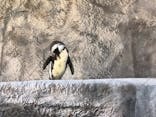 恩賜上野動物園に投稿された画像（2025/12/1）