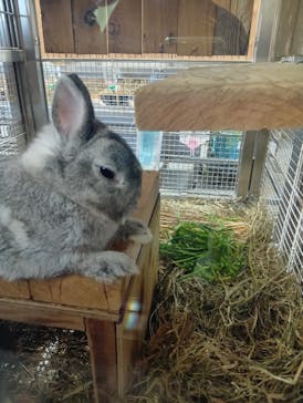 恩賜上野動物園に投稿された画像（2025/11/30）