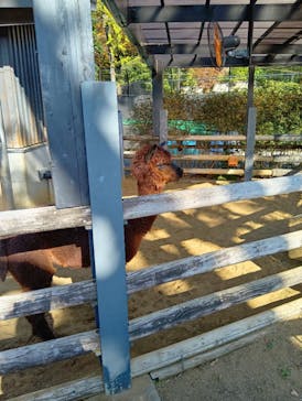 恩賜上野動物園に投稿された画像（2025/11/30）